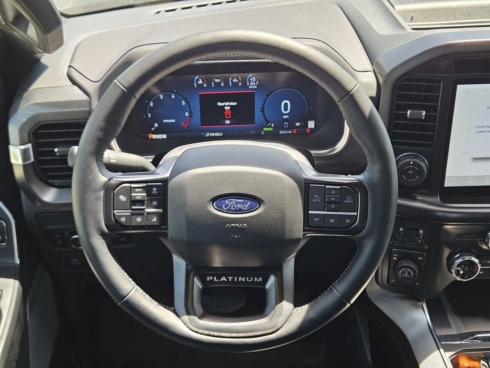 2025 Ford F-150 Platinum